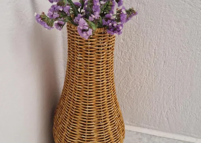 Διαμέρισμα Meraki *